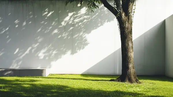 Minimal backyard with tree and clean lawn, modern outdoor space