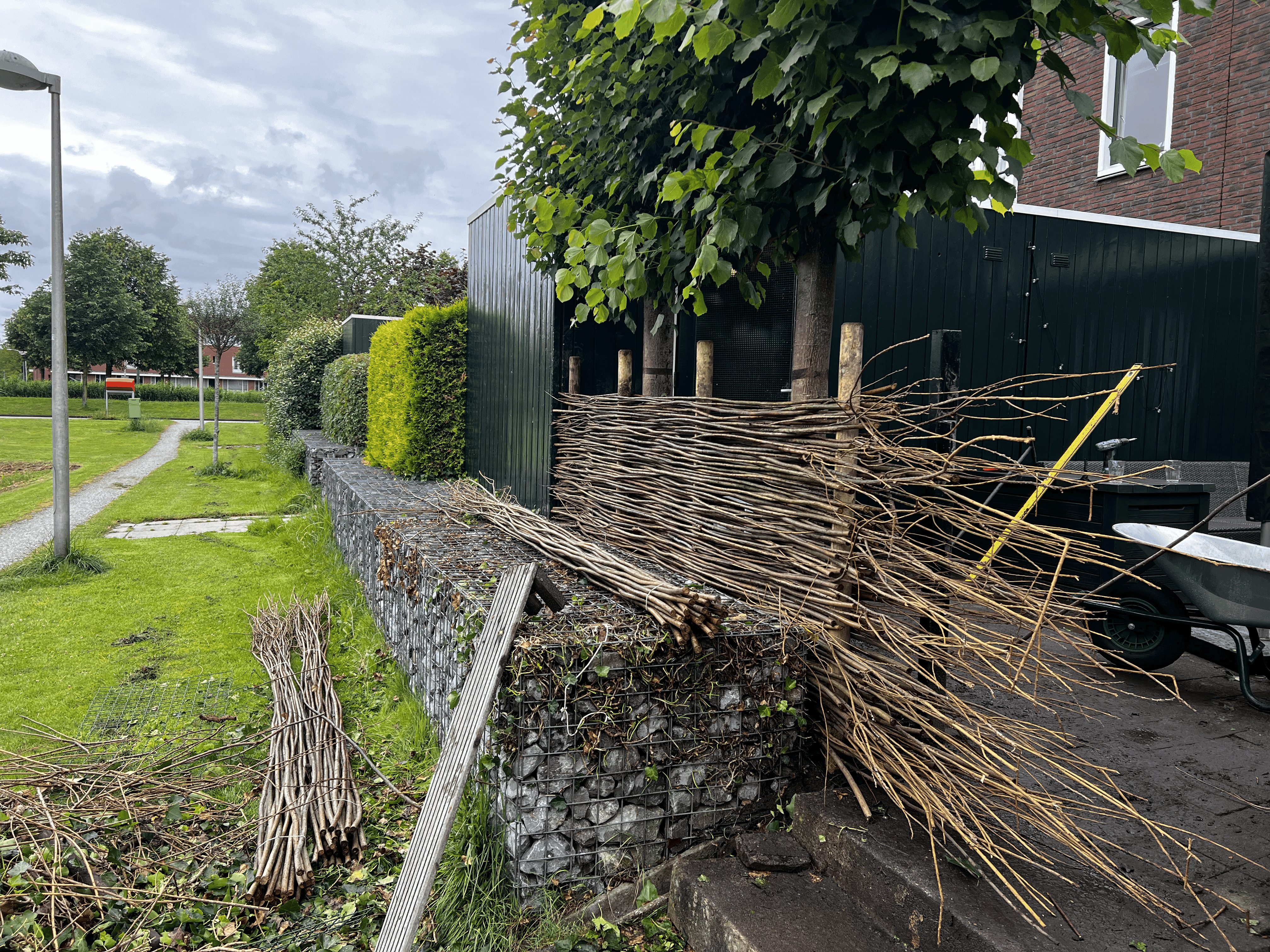 Bare soil with unfinished path, lawn installation before grass placement