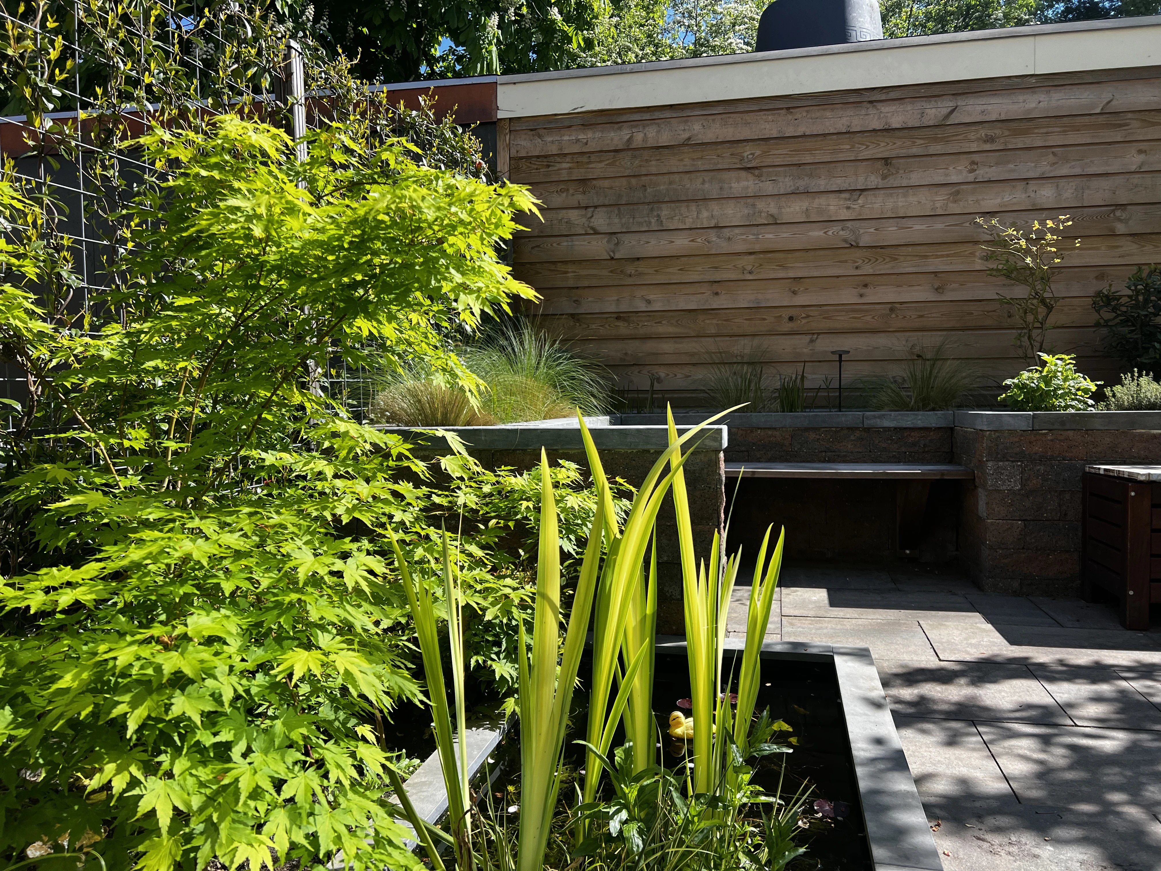Modern garden design with clean patio, plants and greenery, finished outdoor space